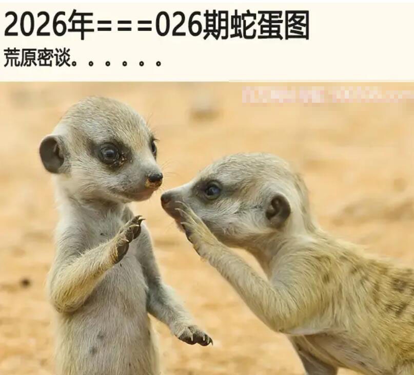 026期另版蛇蛋图[图]